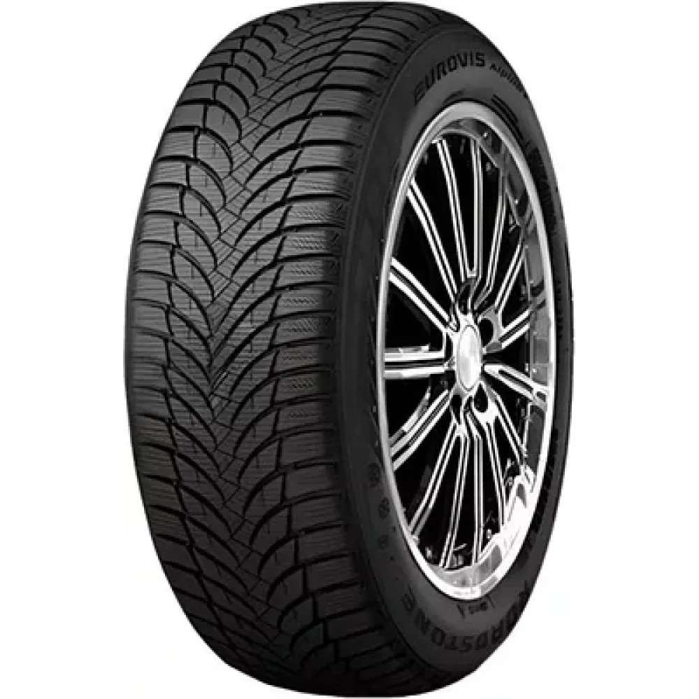 Roadstone Eurovis Alpine 2 215/70 R16 100T