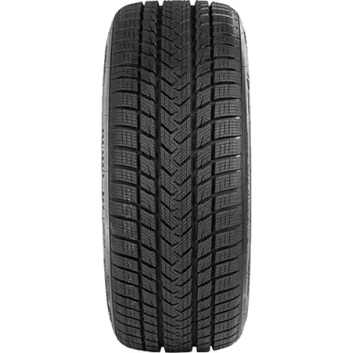 Gripmax SureGrip Pro Winter 255/40 R19 100V XL