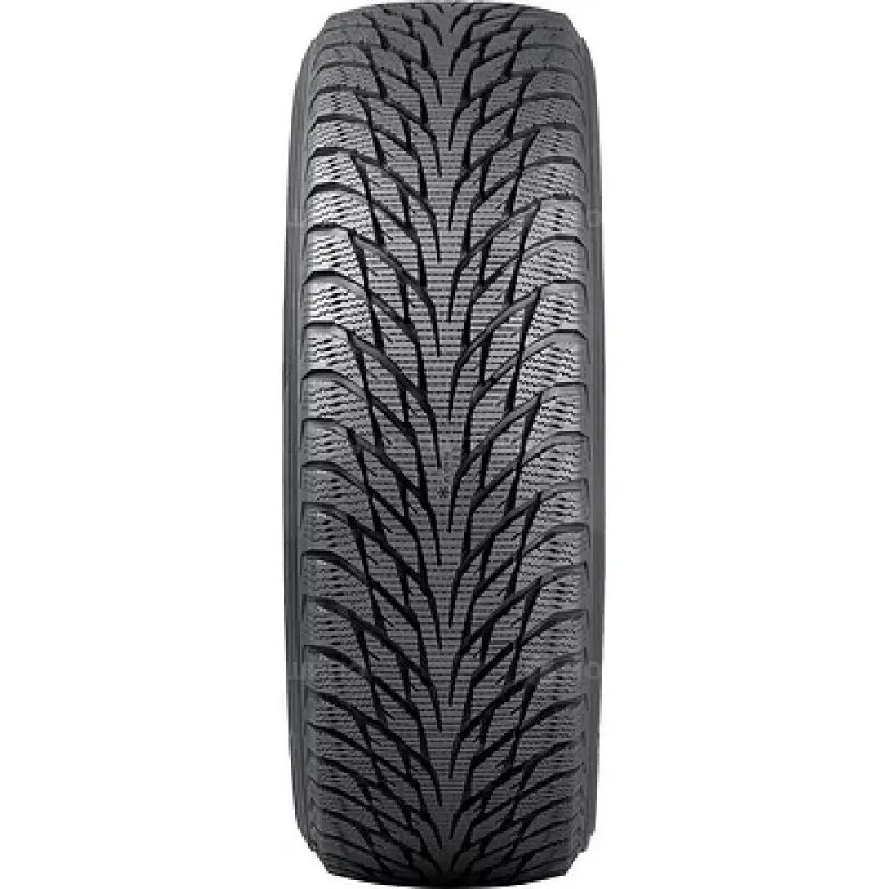 Nokian Hakkapeliitta R2 205/55 R17 95R RF