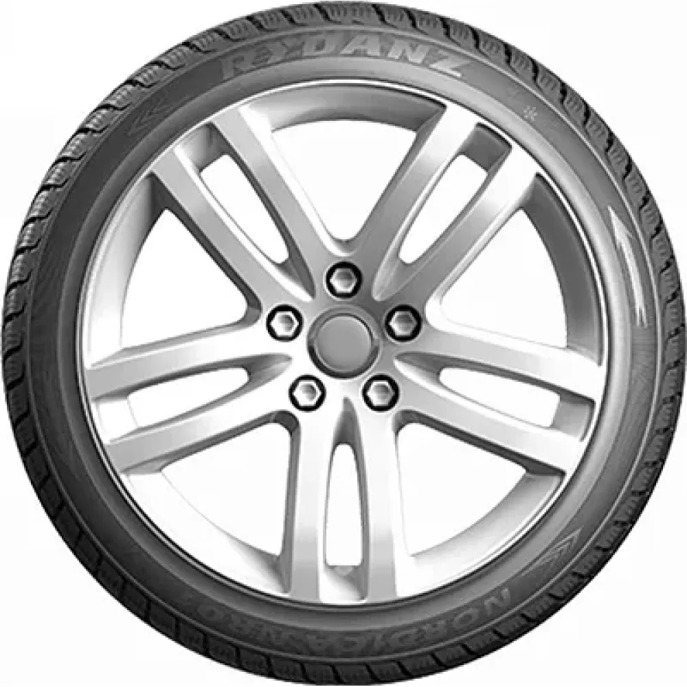 Rydanz Nordica NR01 255/40 R20 101V XL