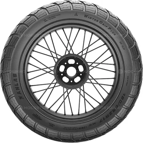 Anlas Winter Grip Plus 140/70 R17 66H