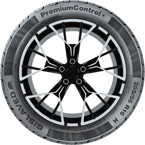 Gislaved Premiumcontrol 195/55 R16 91V XL
